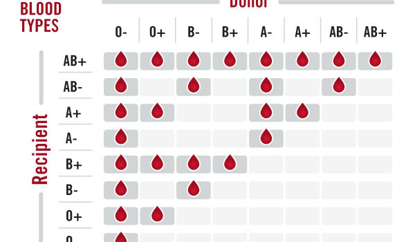 Human Blood Types